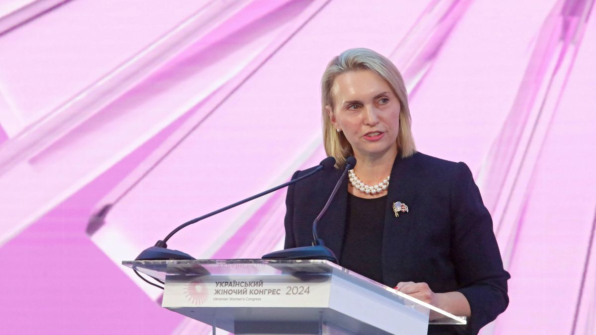 Volodymyr Tarasov
politics, Kyiv, United States, Bridget Brink, ambassador