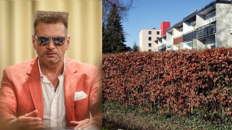 Żywopłoty, które wyglądają jak Krzysztof Rutkowski