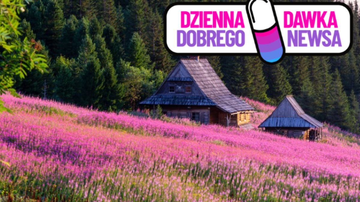 Fioletowo pod Tatrami