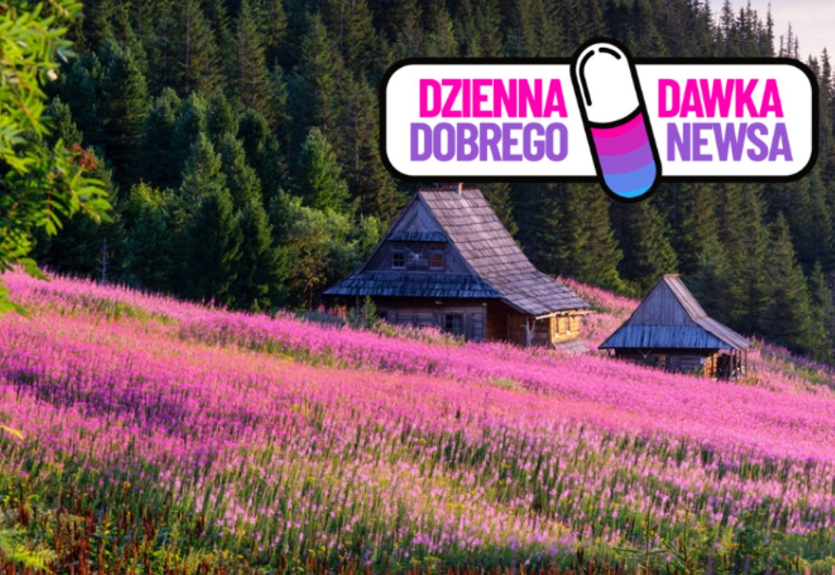 Pod Tatrami zrobiło się fioletowo. Tym razem to nie krokusy