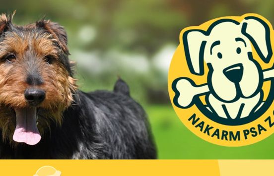 Po raz 16. rusza akcja „Nakarm psa z OLX”