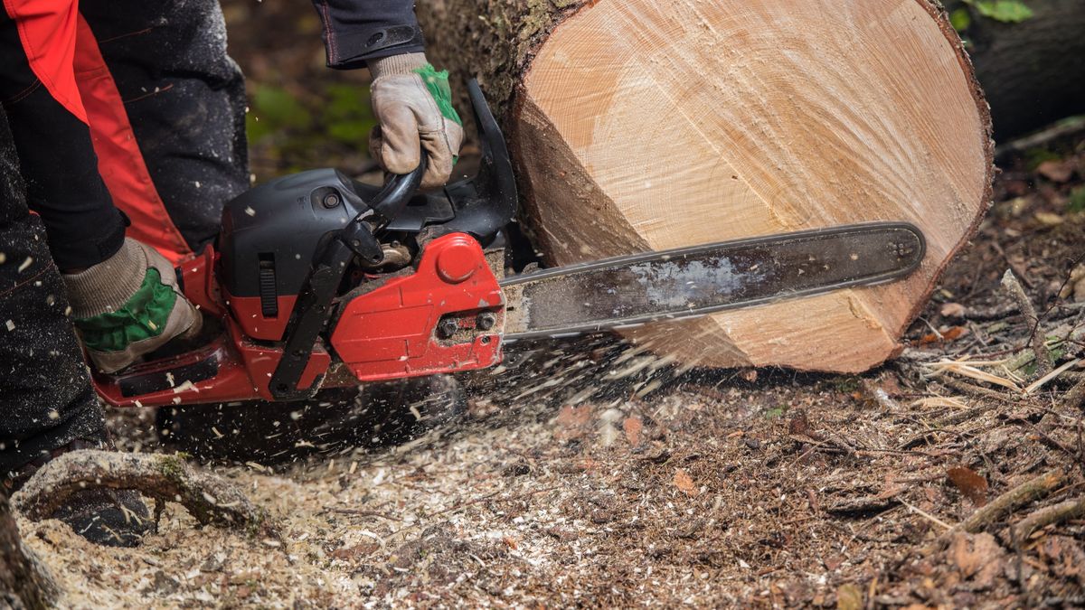 Nie żyje 20-letni pilarz