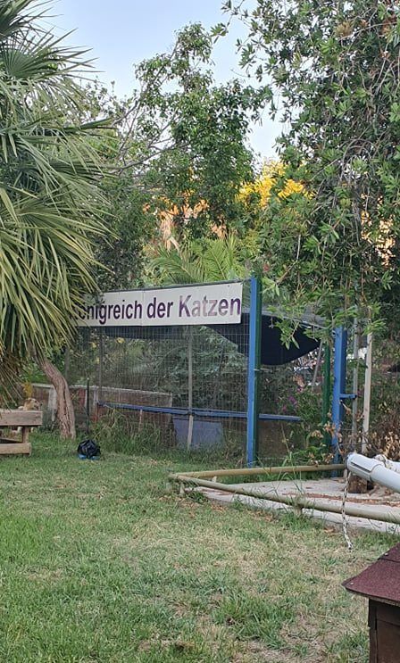 Królestwo Kotów Kreta