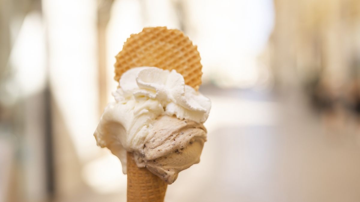 Bakterie Enterobacteriaceae naturalnie występują w jelicie 