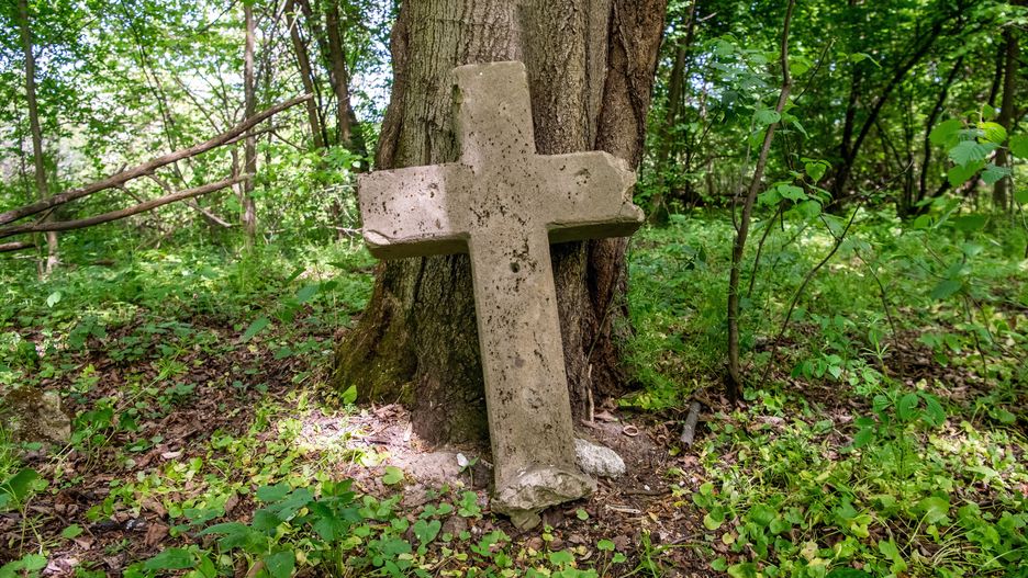 Vladyslav Musiienko
archeolog, archeologowie, ekshumacja, ekshumacje, ekshumacji, ekshumowanie, medycyny s�dowej, miejsce poszukiwa�, nacjonalizm, oddzielony teren, ofiary, ofiary zbrodni, Polak�w, poszukiwania, resztki, szcz�tki, wo�y�, wo�y�ska, wydobycie, zbrodnia, krzy�
