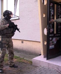 Zakochała się i dlatego kradła. Gang za kratkami