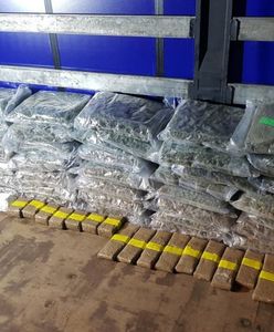 Operacja "Przebudzenie mocy". CBŚP przejęła narkotyki warte 90 mln zł