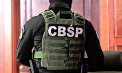 Marihuana w mandarynkach. Transport wart nawet 3 mln zł przechwyciło CBŚP