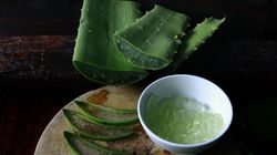 Niezwykłe właściwości aloesu. Roślina, która leczy od środka i na zewnątrz