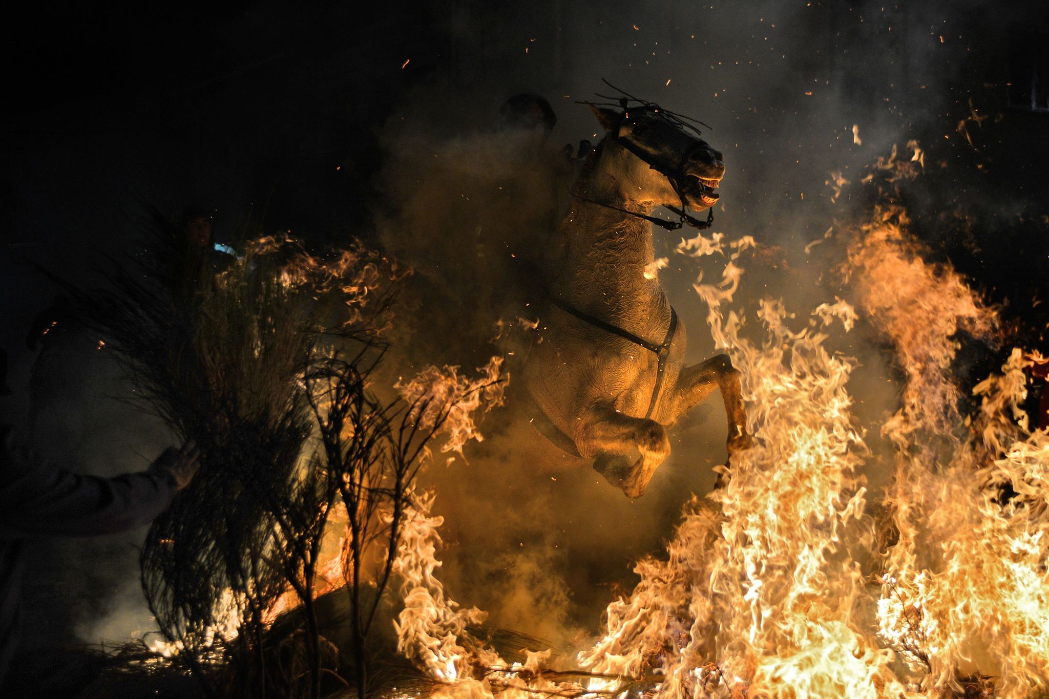 Najlepsze zdjęcia nagrodzone w konkursie Grand Press Photo 2014 [galeria] 16