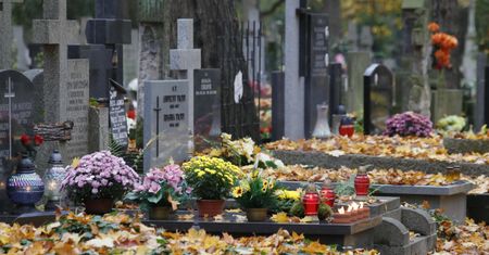 Obostrzenia na cmentarzach? "Osoby, które się zaszczepiły, muszą mieć benefity"