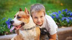 Pies najlepszym lekarzem człowieka?