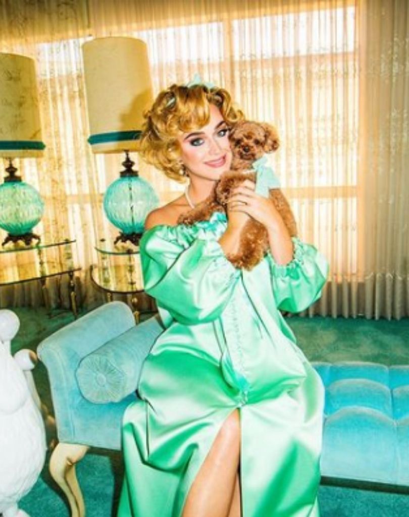 Pies Katy Perry przeszedł na weganizm? 