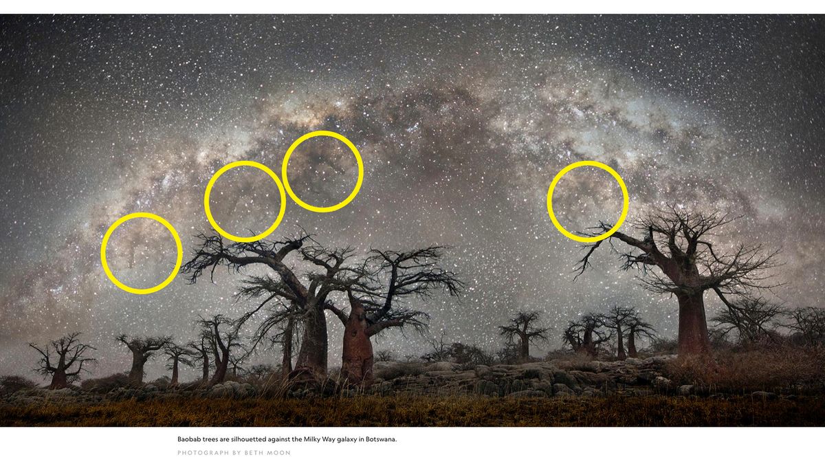 National Geographic zamieściło przerobione zdjęcie. Internauci są wzburzeni 1