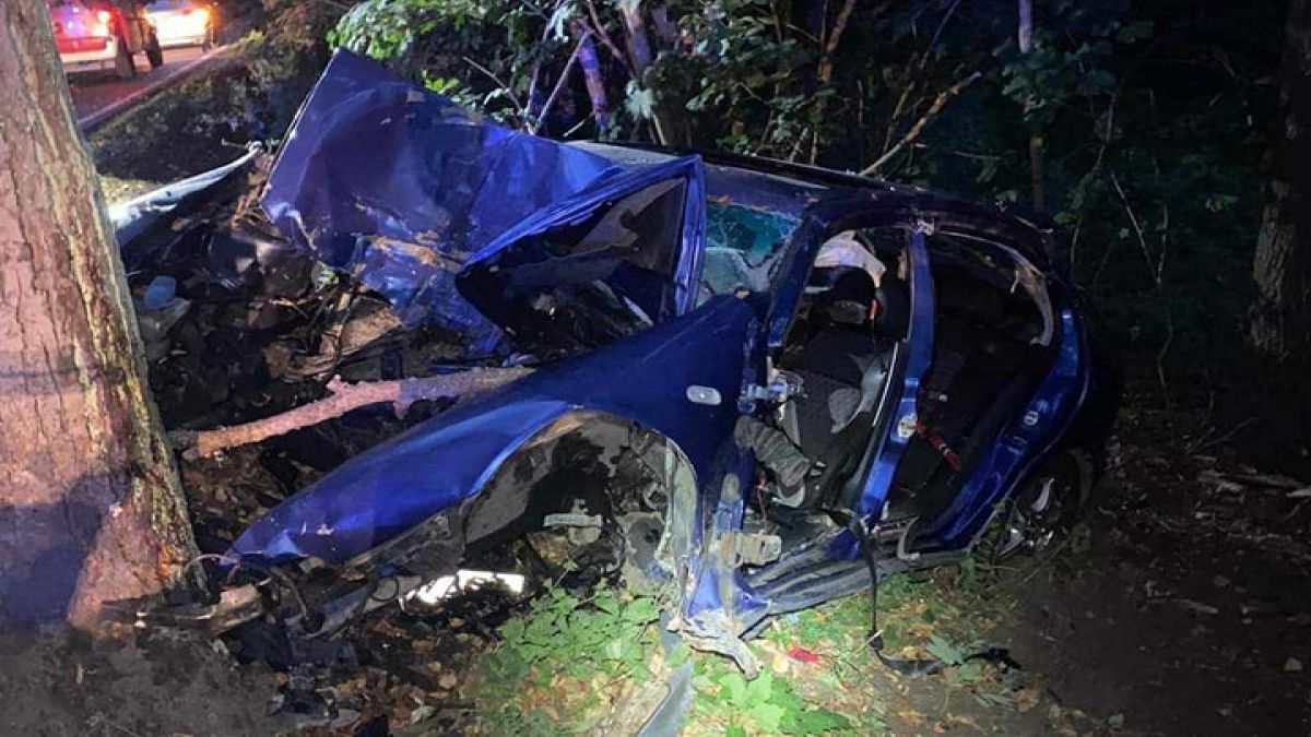 Tydzień po wypadku ktoś podciął przydrożne drzewa