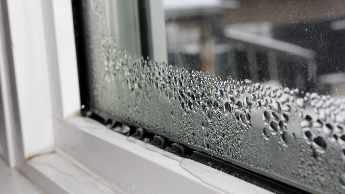 Water condensation on windows during winter
Water condensation on windows during winter.
Akchamczuk
still, humidity, vapor, circulation, pane