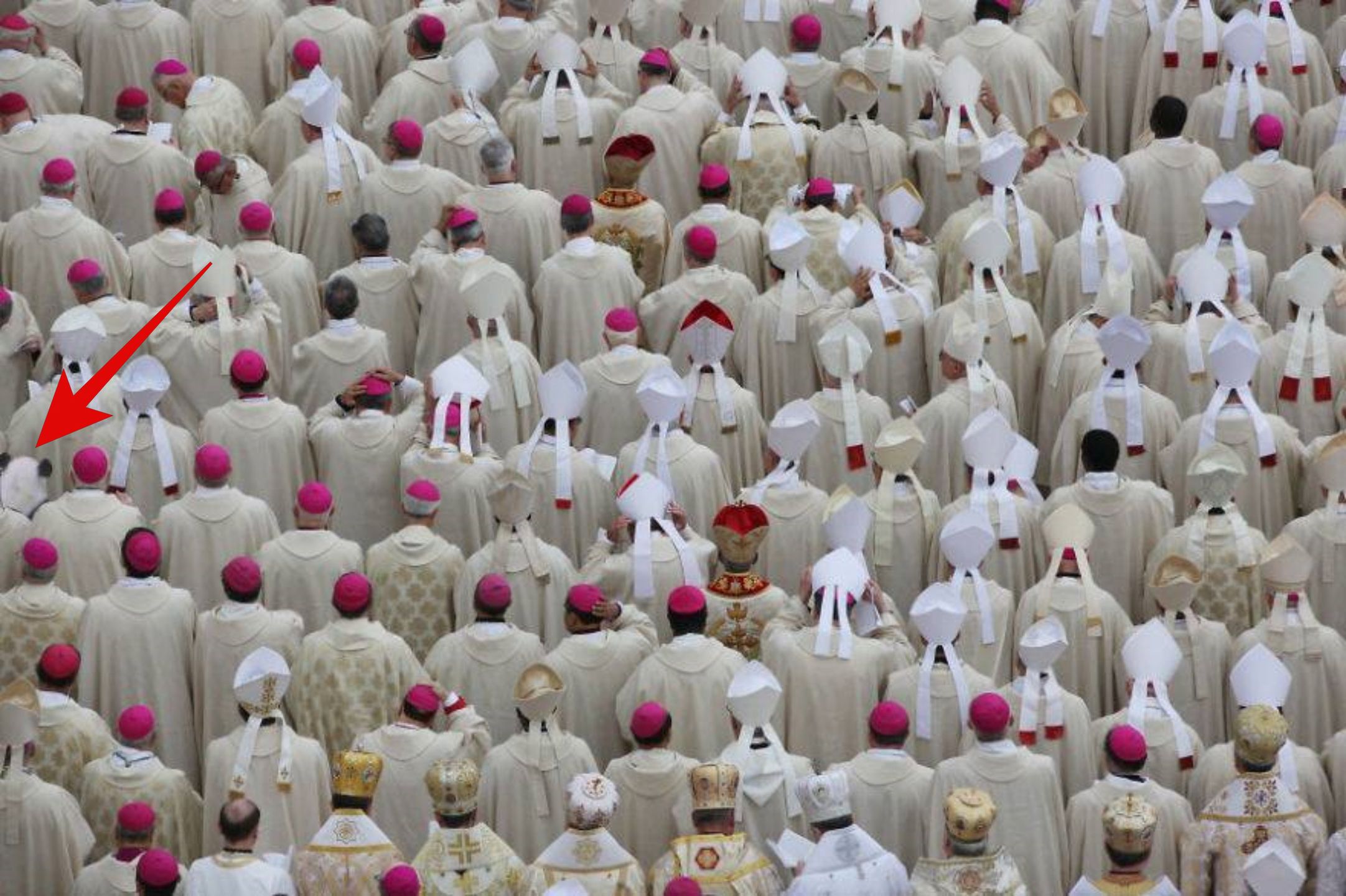 Test na spostrzegawczość: odpowiedź