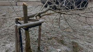 Stalowa Wola. 17-latek podejrzany o zniszczenie mienia