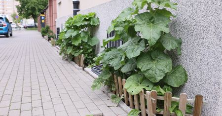 Latem zapominają o tym obowiązku. Kara to nawet kilka tysięcy złotych