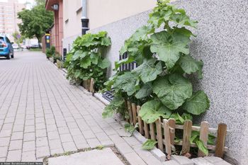 Latem zapominają o tym obowiązku. Kara to nawet kilka tysięcy złotych