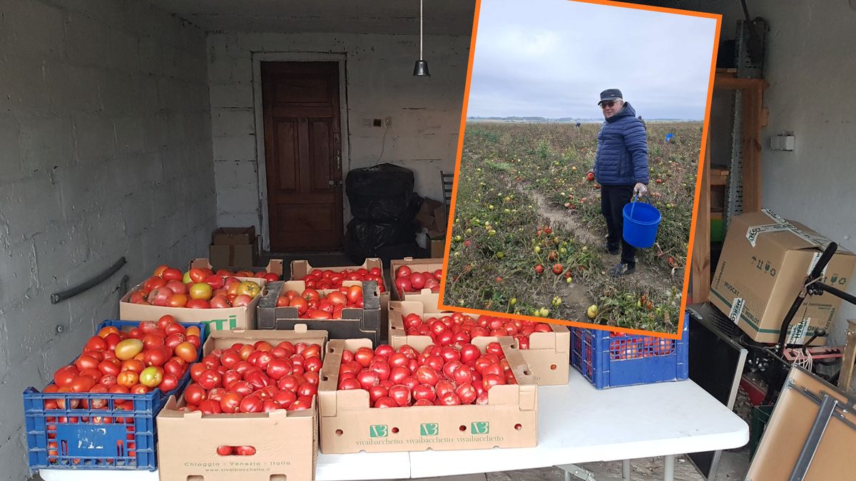 Pieniądze ze sprzedaży mają wesprzeć zbiórkę na remont kościoła