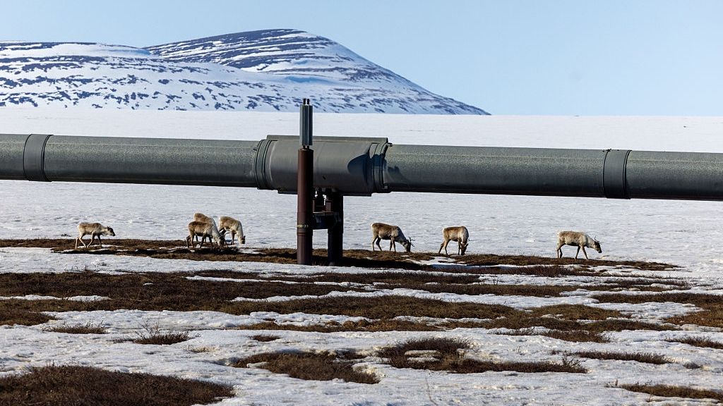 Alaska's Dalton Highway: One Of The World's Most Northern Stretches Of Road
NORTH SLOPE BOROUGH, ALASKA  - MAY 9: Caribou graze on the tundra by a portion of the Trans Alaska Pipeline System (TAPS) near the Dalton Highway on May 9, 2025 about 39 miles north of Atigun Pass in North Slope Borough, Alaska. The Dalton Highway (Alaska Route 11) stretches 414 miles across northern Alaska from Livengood (53 miles north of Fairbanks) to Prudhoe Bay. The 800-mile-long pipeline pushes oil from Prudhoe Bay to the port of Valdez. (Photo by Lance King/Getty Images)
Lance King