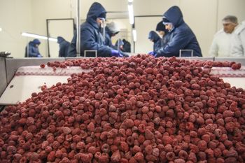 "Ukraińskie wypierają polskie". Tuż obok granicy rośnie gigant