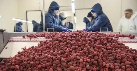 "Ukraińskie wypierają polskie". Tuż obok granicy rośnie gigant