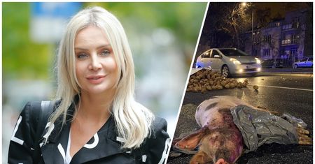 Akcja rolników w Warszawie. Agnieszka Woźniak-Starak nie wytrzymała