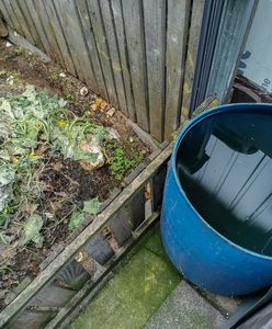 Urzędnicy kontrolują ogródki. Niektórzy mogą stracić ulgę