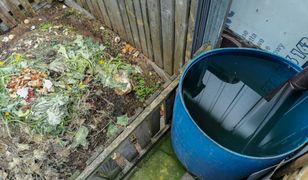 Urzędnicy kontrolują ogródki. Niektórzy mogą stracić ulgę