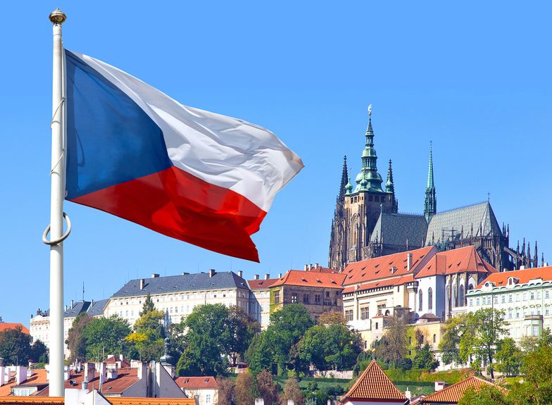 Polscy sprzedawcy zyskują nowy rynek zbytu. Czesi pokochali zakupy na Allegro