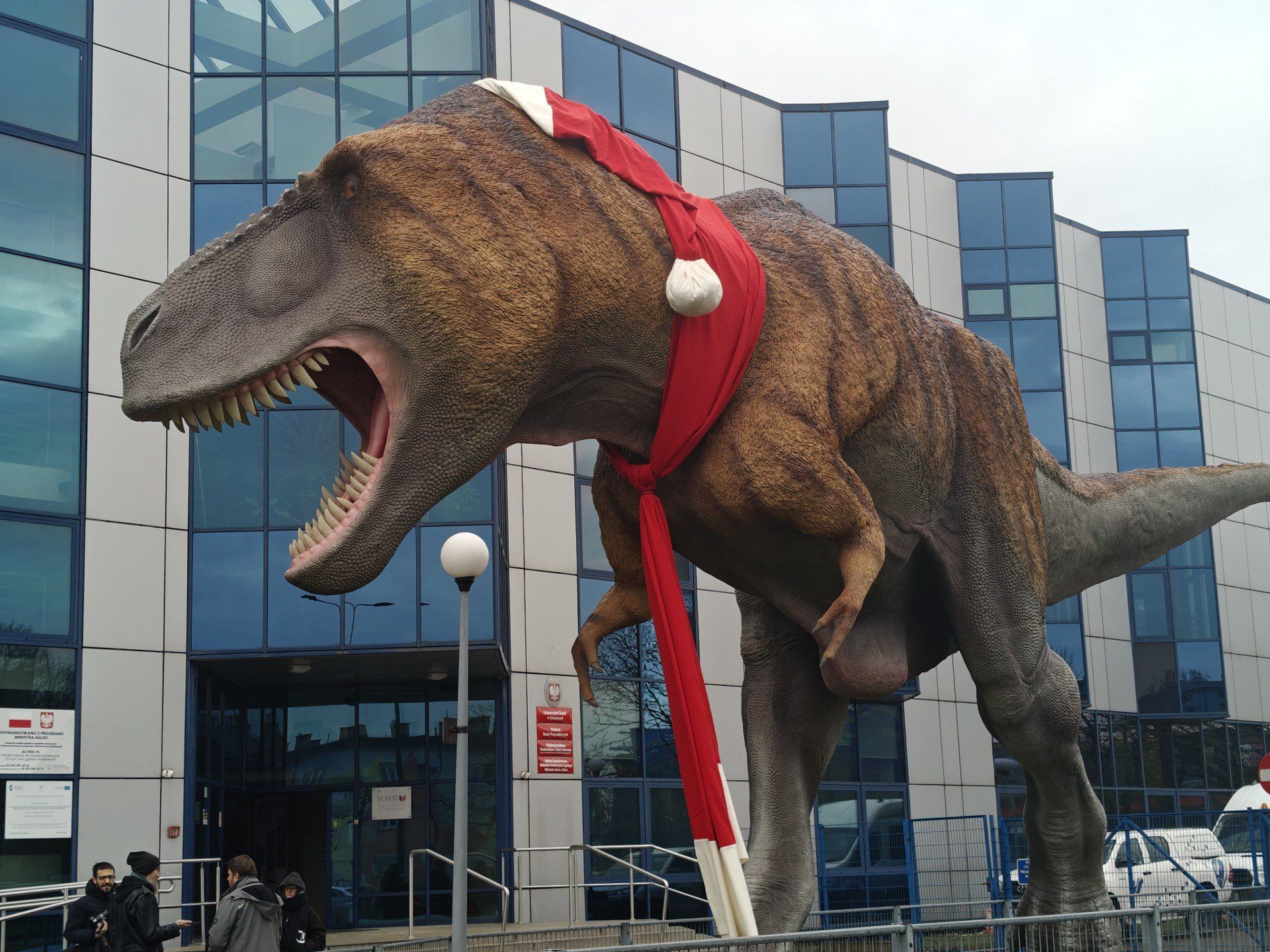 Przewijaj w dół, aby przejść do następnych zdjęć!