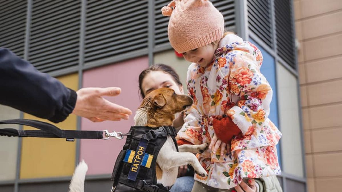 Pies odwiedził dzieci.