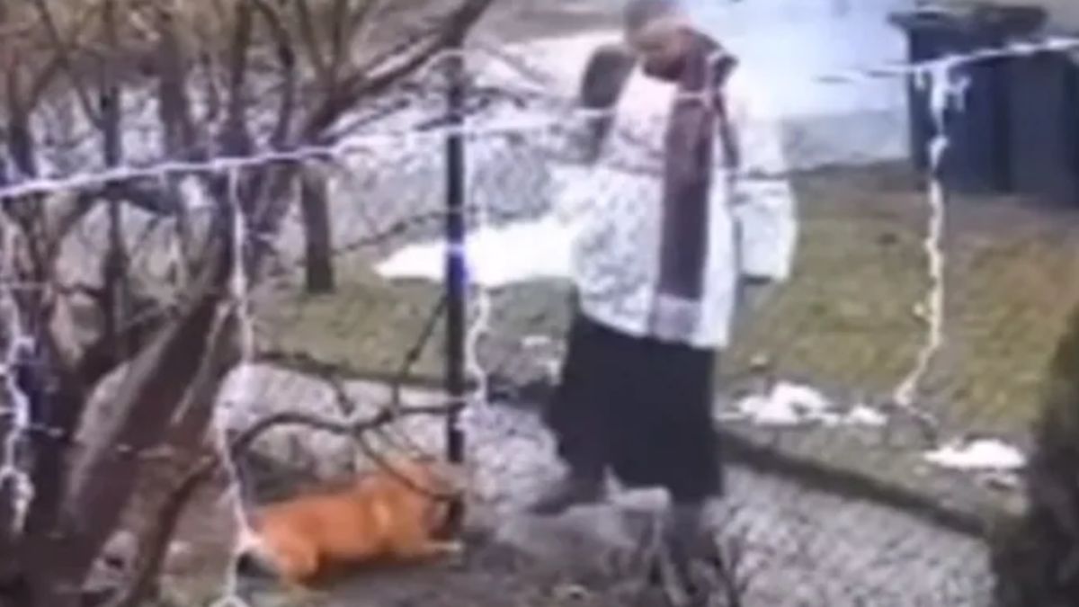 Ksiądz rzucał kamieniami w psa - prokuratura nie widzi przestępstwa 