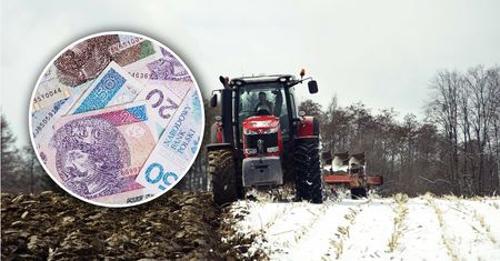 Renta rolnicza. Oto po jakim czasie i kto może ją otrzymać