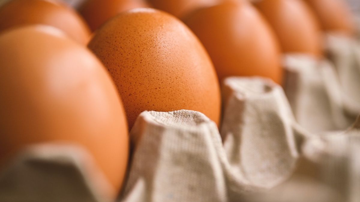 Co warto wiedzieć o jajkach?