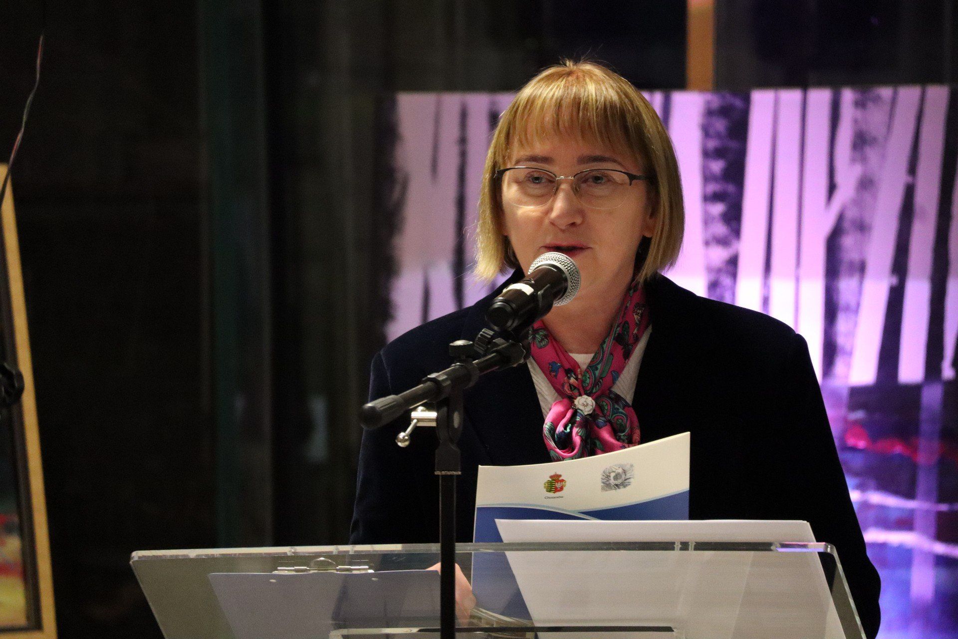 Festiwal Pomocy, Współpracy i Integracji w Chrzanowie