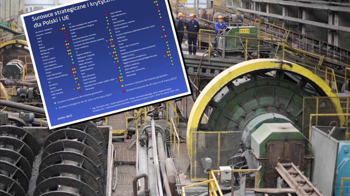 Polskie surowce mineralne. Część z nich jest te "krytyczne"