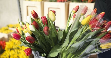 Trik na zwiędnięte tulipany. Efekt niemal natychmiast