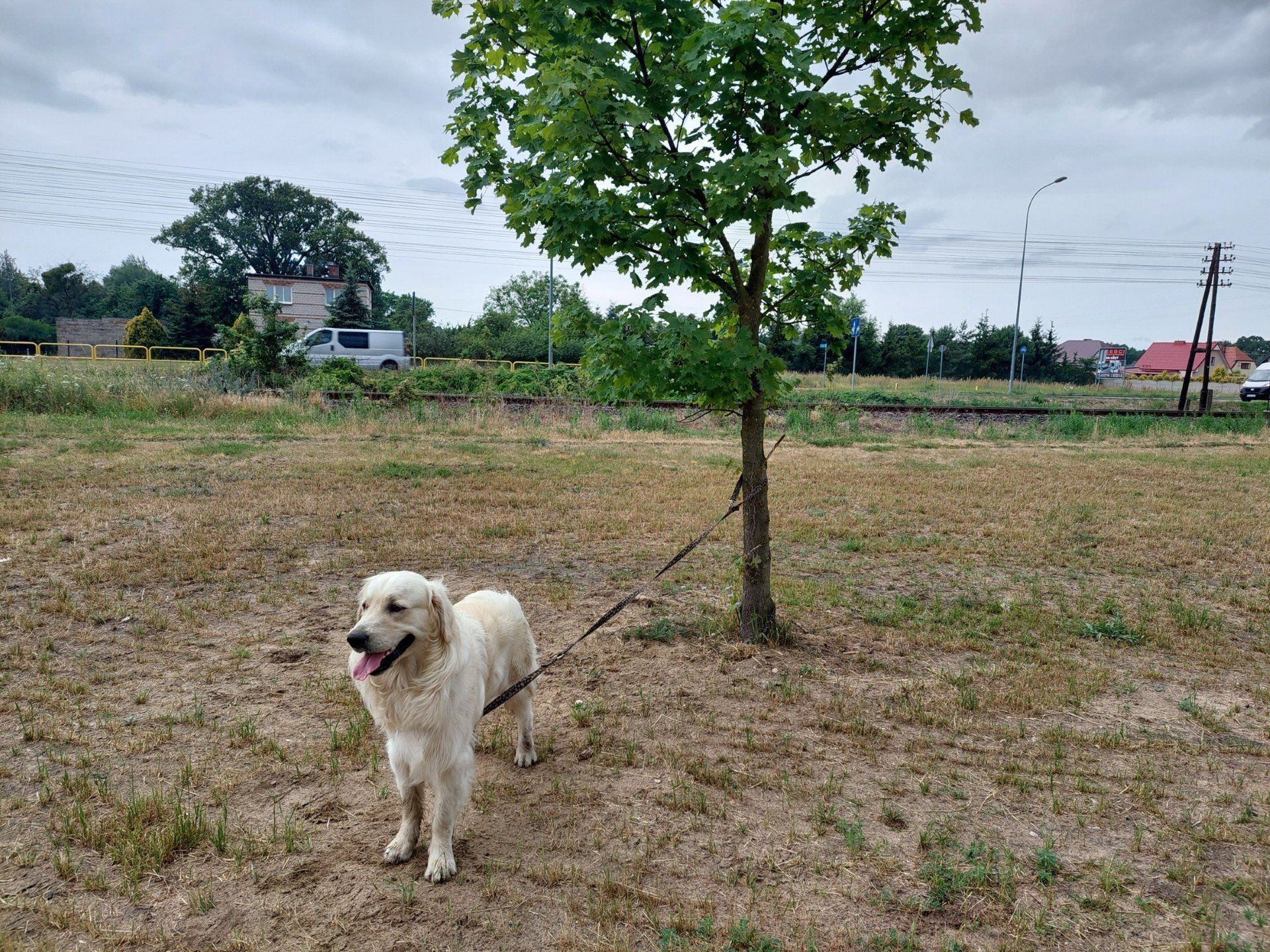 Organizacje prozwierzęce podkreślają, że &#34;ustawa łańcuchowa&#34; to szansa na ostateczne zerwanie z wieloletnią praktyką trzymania psów &#34;przy budzie&#34; i uczynienie ich warunków życia bardziej humanitarnymi.