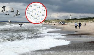 Ines sunie nad Polskę. Taką pogodę przyniesie