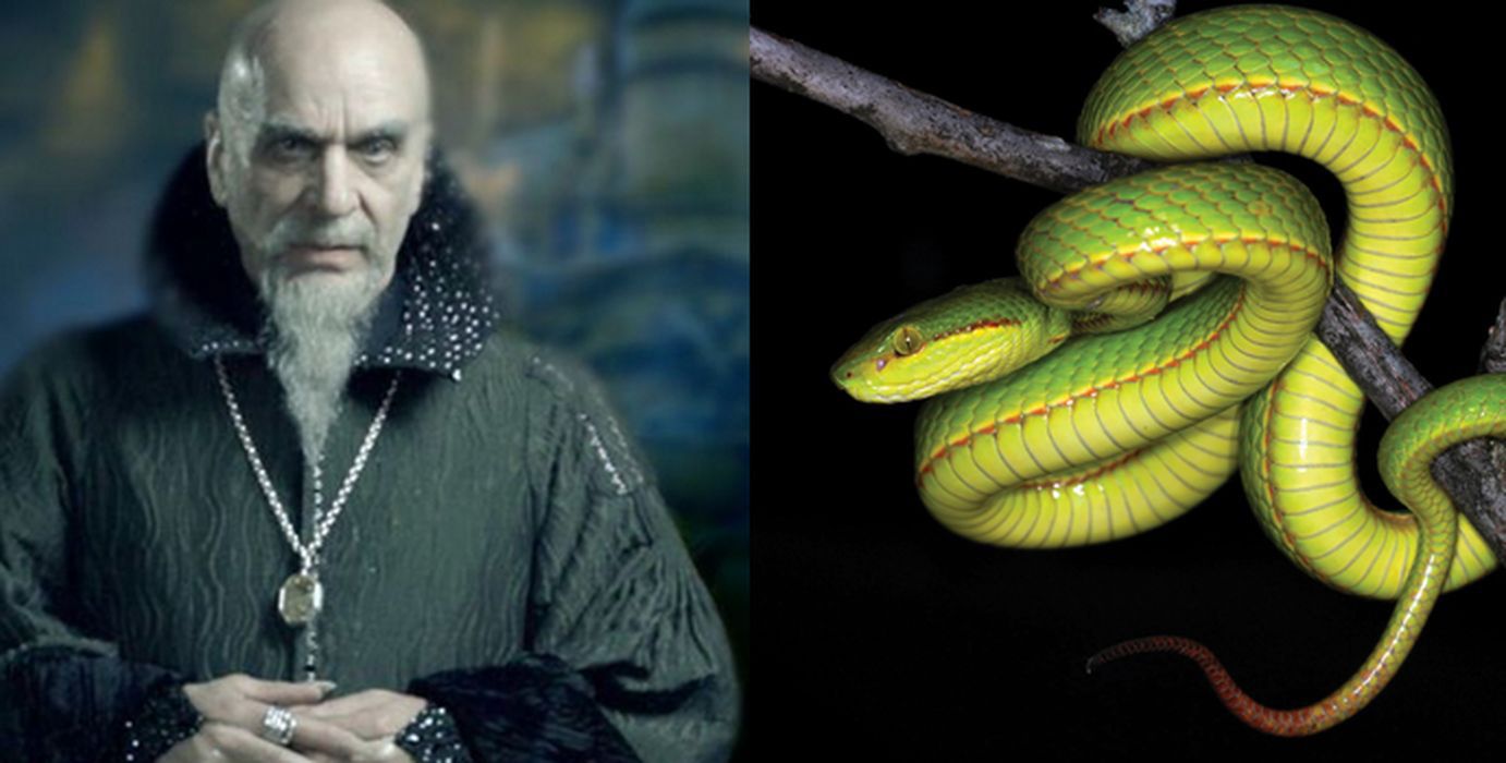 Legendarny założyciel Hogwartu, czarodziej Salazar Slytherin i żmija nazwana na jego cześć