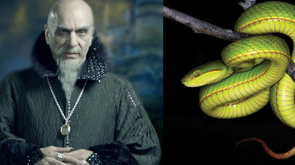Legendarny założyciel Hogwartu, czarodziej Salazar Slytherin i żmija nazwana na jego cześć