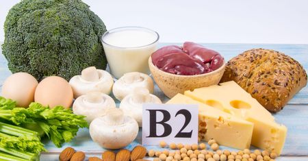 Witamina B2 (ryboflawina) - funkcje w organizmie, niedobór i nadmiar, źródła