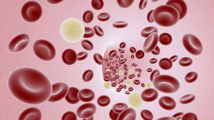 Mikrocząsteczki z tlenem mogą utrzymać nieoddychających pacjentów przy życiu 1