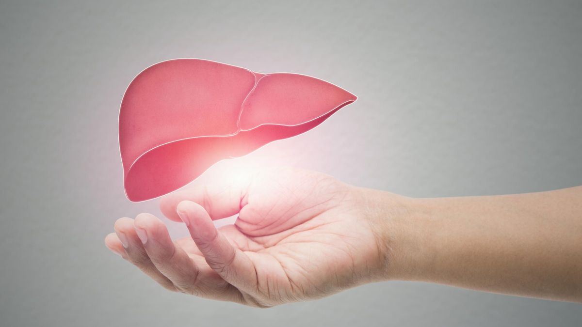 Badanie AST pozwala na ocenę ogólnej kondycji nie tylko wątroby, ale i wielu innych narządów i układów