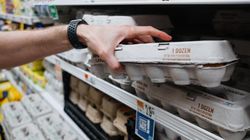 Auchan wycofuje ze sprzedaży jajka. Wykryto groźną bakterię