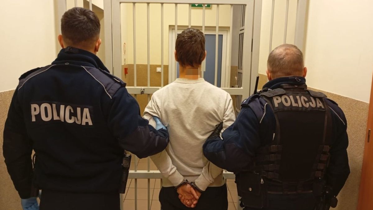 Policjanci zatrzymali niedoszłego gwałciciela