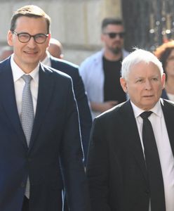 "Szarańcza z PiS". Ustalenia WP bulwersują